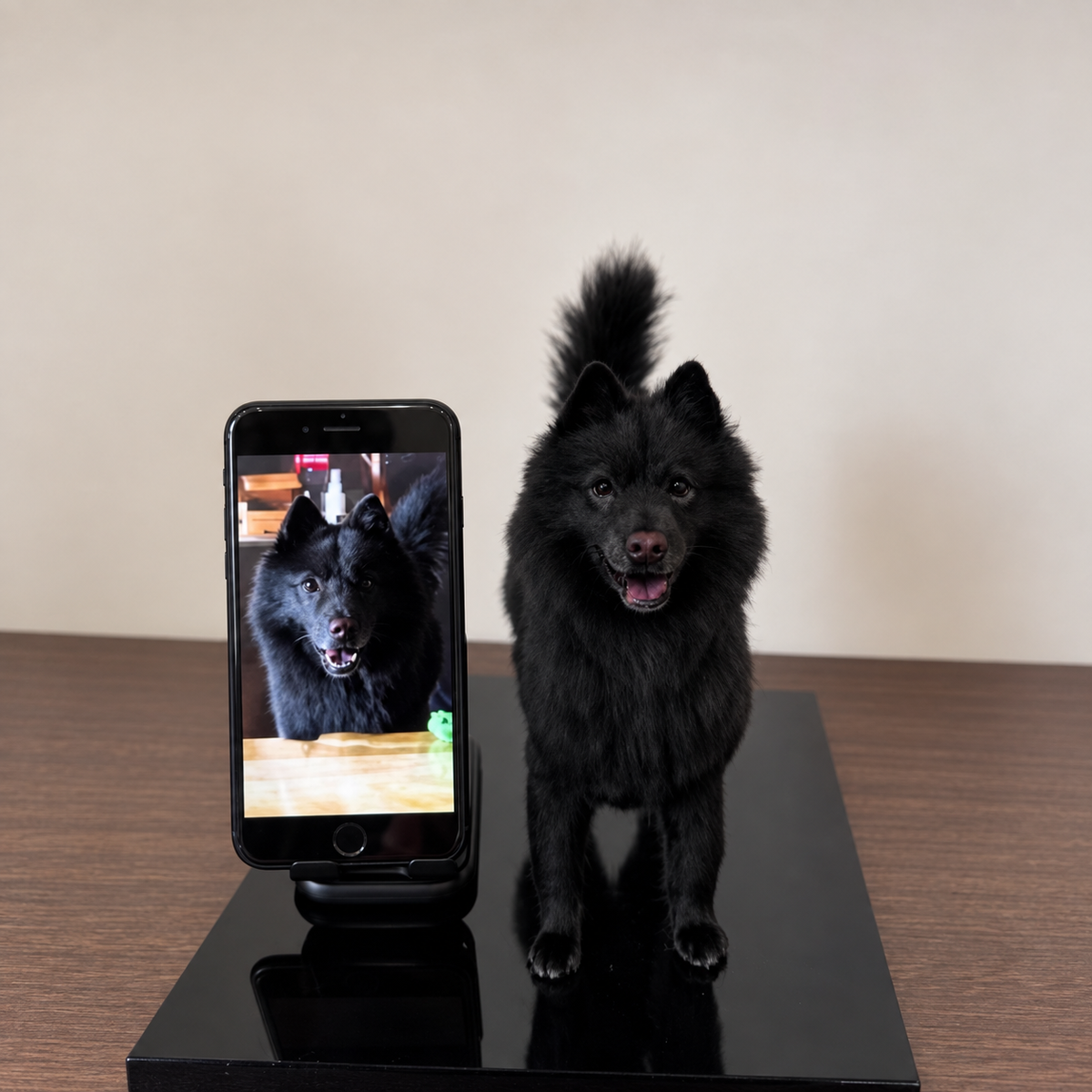 Custom Wool-Felt Dog Figures